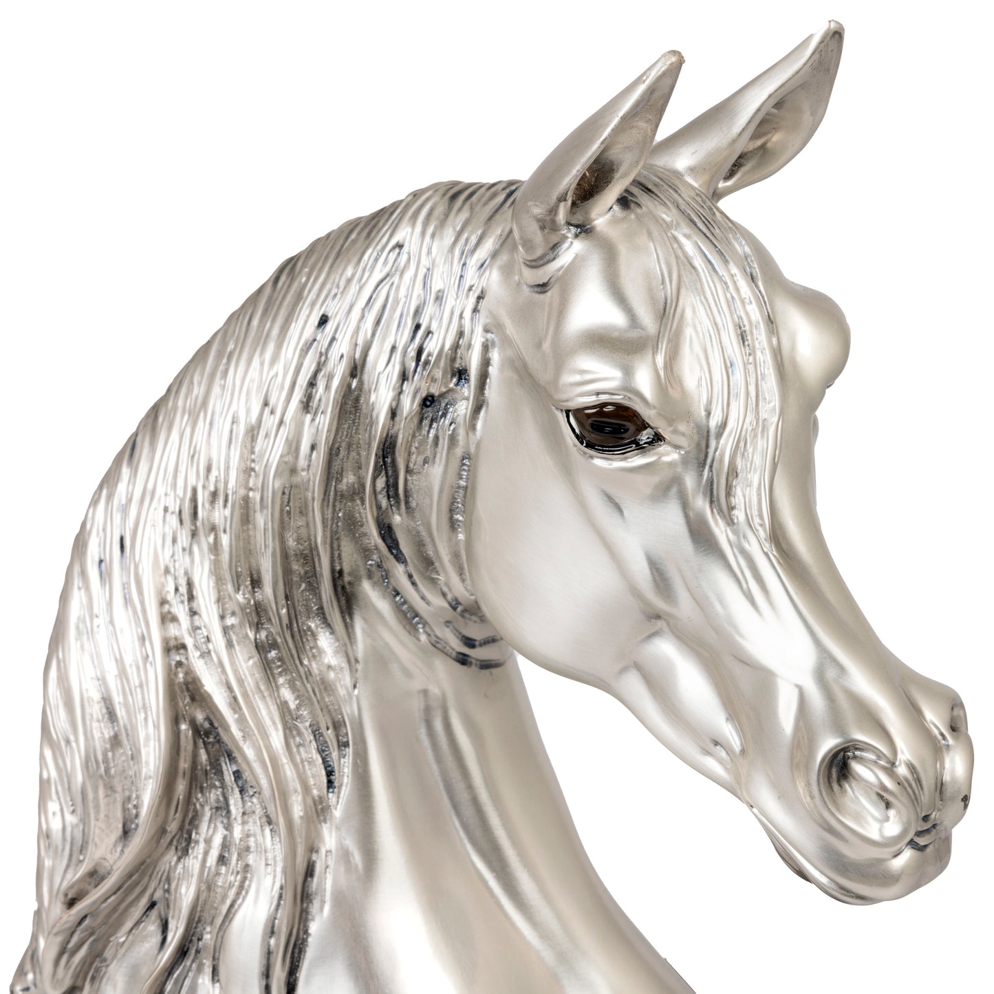 Horse's head