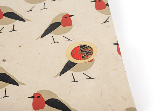 Coordinato album e quaderno Pettirossi