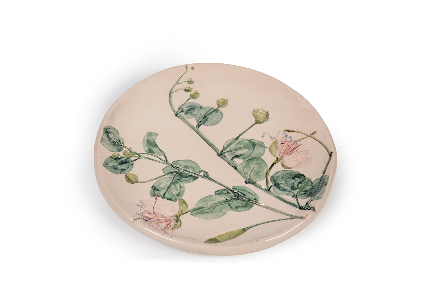 Set piatti botanici dessert (6 pezzi)