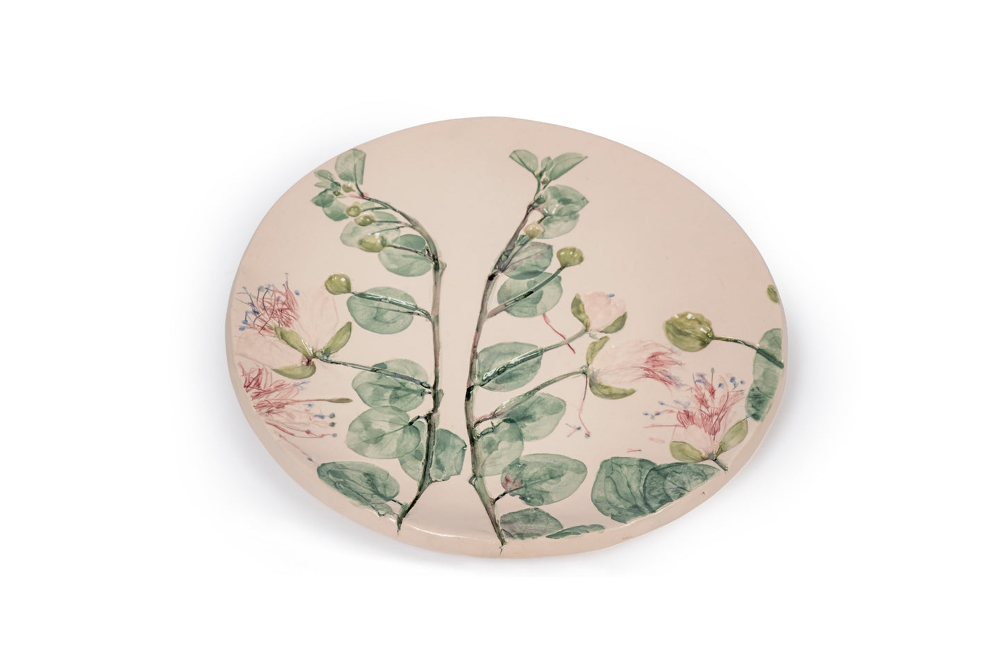 Set piatti botanici dessert (6 pezzi)