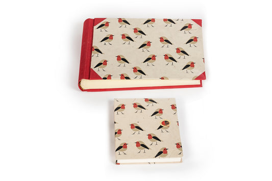 Coordinato album e quaderno Pettirossi