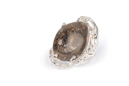 Anello argento e ammonite fossile