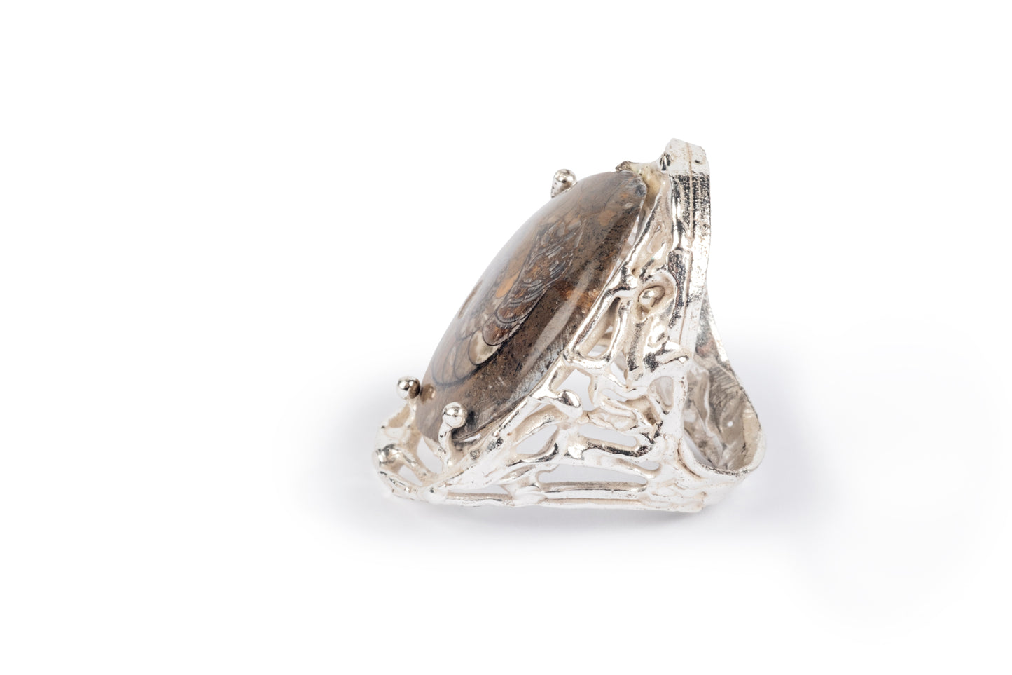 Anello argento e ammonite fossile