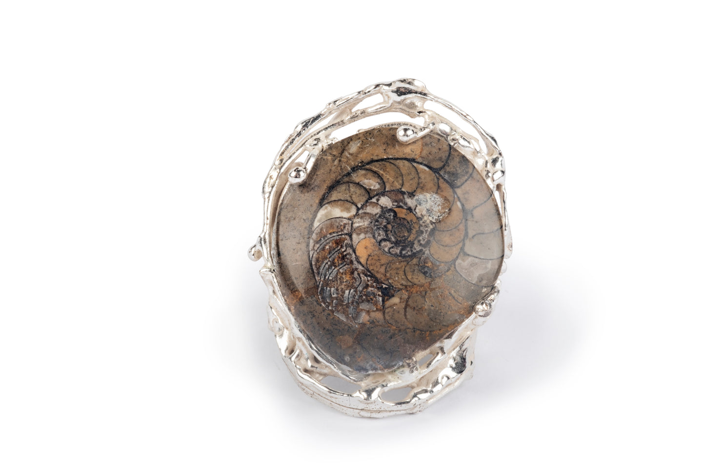 Anello argento e ammonite fossile